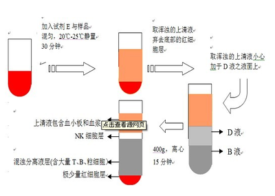大鼠载脂蛋白B100ELISA试剂盒厂家 上海劲马实验设备概述